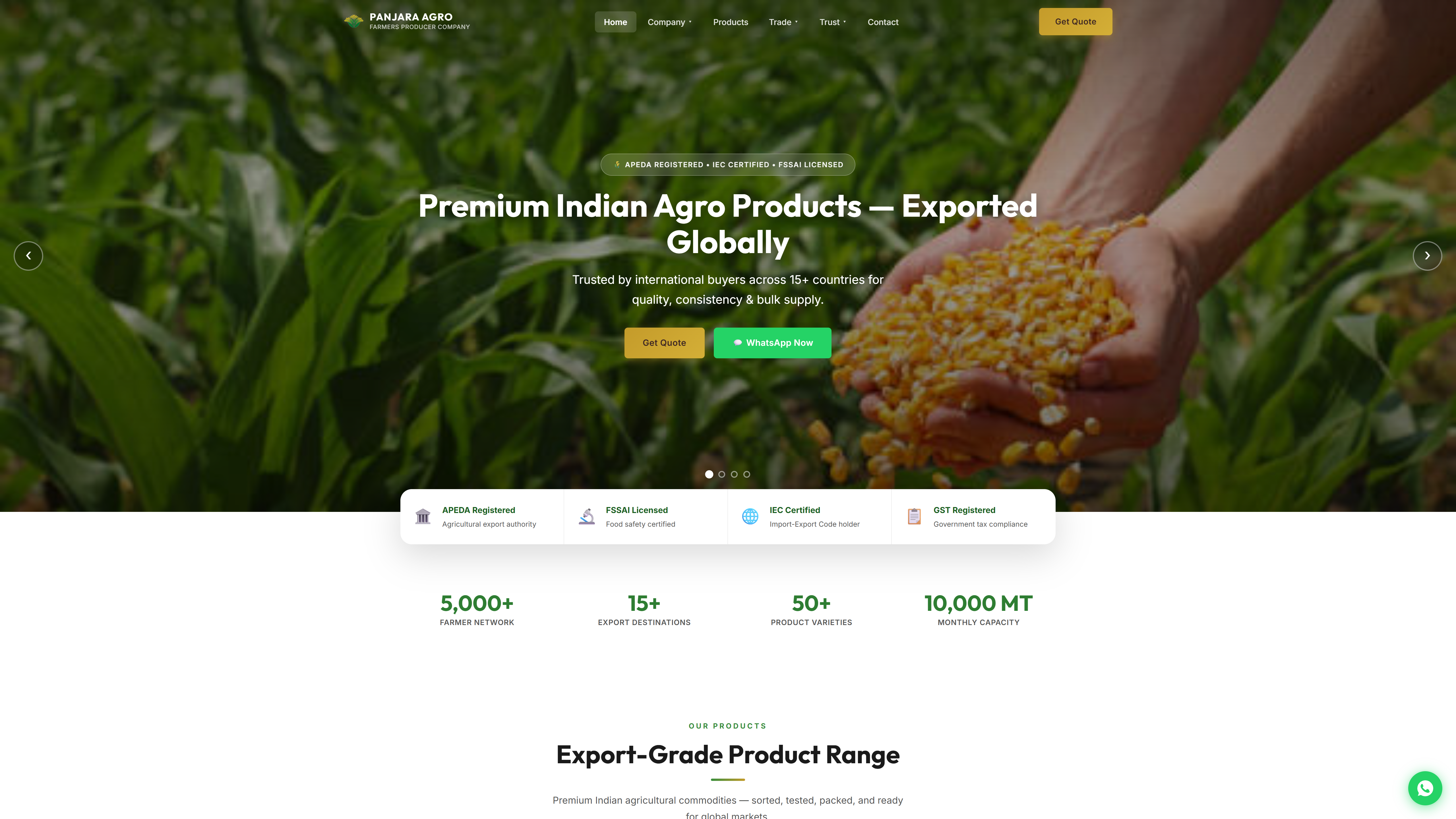 Panjara Agro Website Portfolio